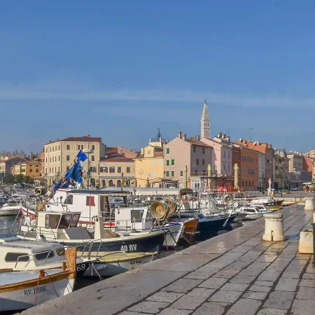 Pineta-1 By Interhome Apartment Rovinj