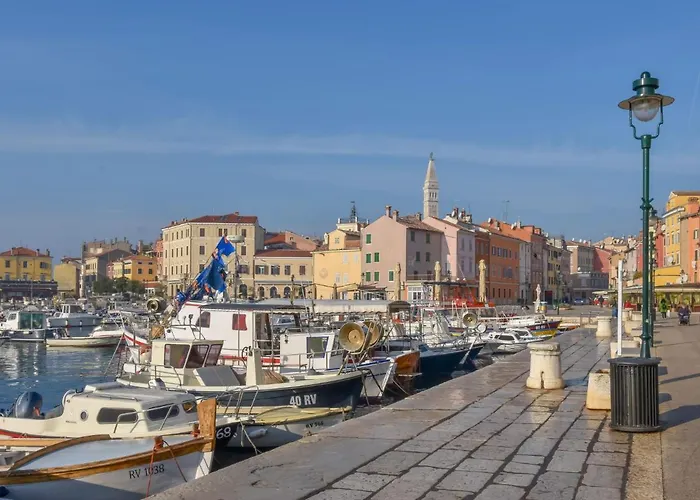 Pineta-1 By Interhome Appartement Rovinj