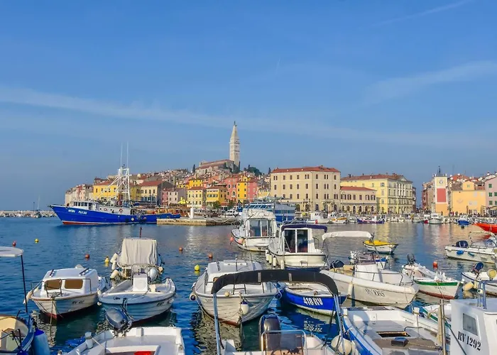 Pineta-1 By Interhome Appartamento